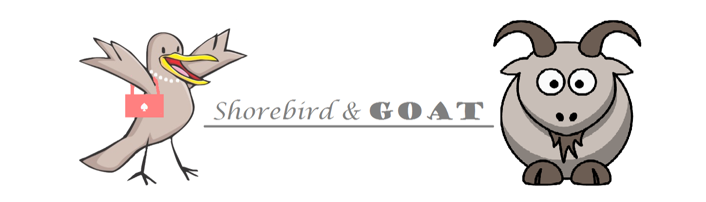 Shorebird & Goat